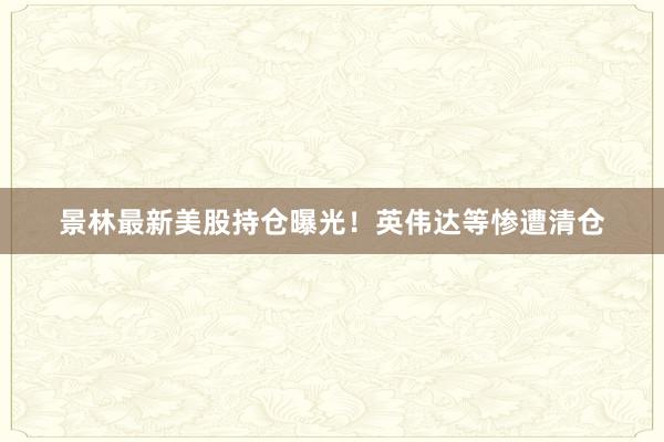 景林最新美股持仓曝光！英伟达等惨遭清仓