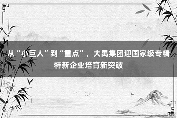 从“小巨人”到“重点”，大禹集团迎国家级专精特新企业培育新突破