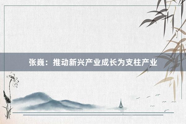 张巍：推动新兴产业成长为支柱产业