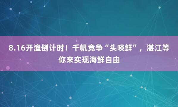 8.16开渔倒计时！千帆竞争“头啖鲜”，湛江等你来实现海鲜自由