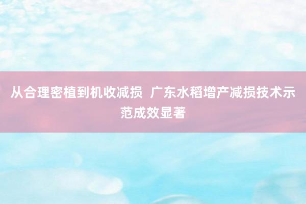 从合理密植到机收减损  广东水稻增产减损技术示范成效显著