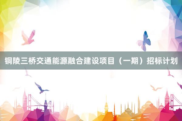 铜陵三桥交通能源融合建设项目（一期）招标计划