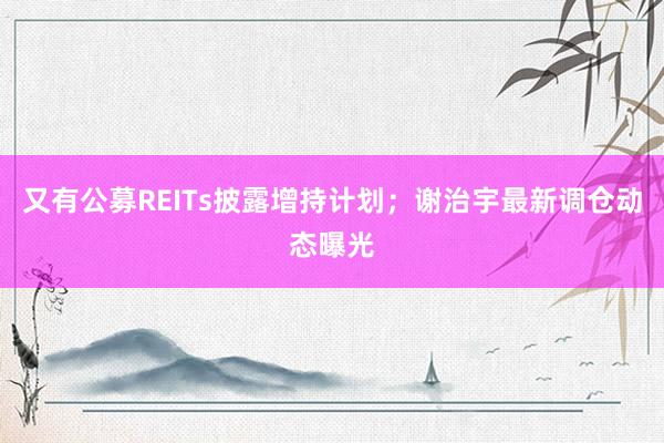又有公募REITs披露增持计划；谢治宇最新调仓动态曝光