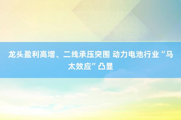 龙头盈利高增、二线承压突围 动力电池行业“马太效应”凸显