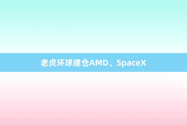 老虎环球建仓AMD、SpaceX