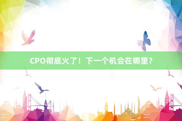CPO彻底火了！下一个机会在哪里？