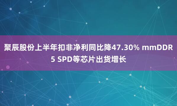 聚辰股份上半年扣非净利同比降47.30% mmDDR5 SPD等芯片出货增长