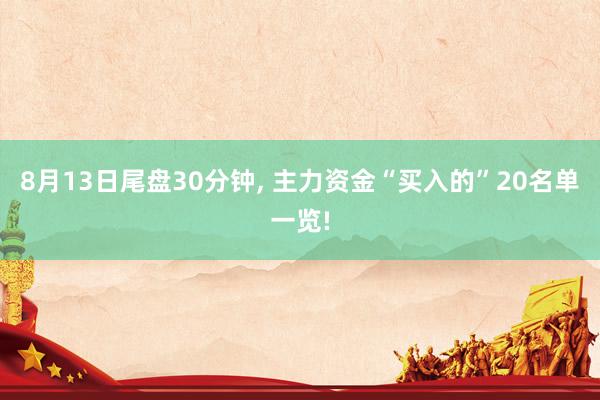 8月13日尾盘30分钟, 主力资金“买入的”20名单一览!