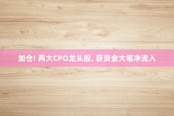 加仓! 两大CPO龙头股, 获资金大笔净流入