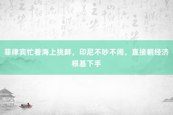 菲律宾忙着海上挑衅，印尼不吵不闹，直接朝经济根基下手