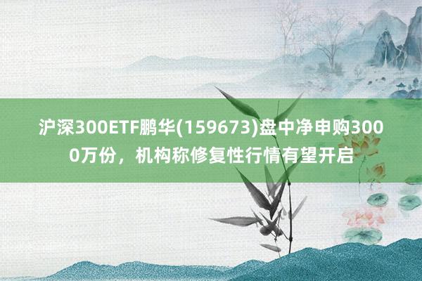 沪深300ETF鹏华(159673)盘中净申购3000万份,机构称修复性行情有望开启