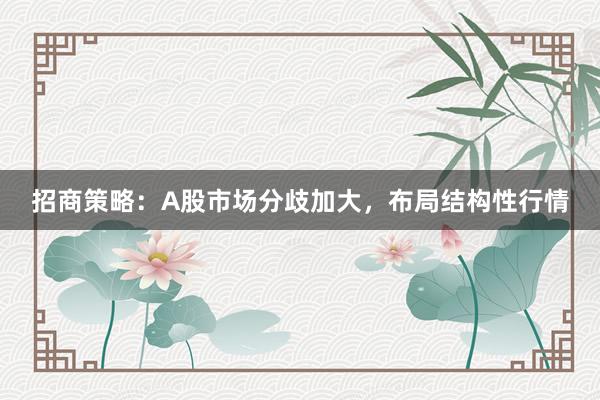 招商策略：A股市场分歧加大，布局结构性行情