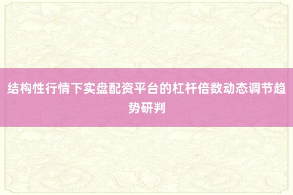 结构性行情下实盘配资平台的杠杆倍数动态调节趋势研判