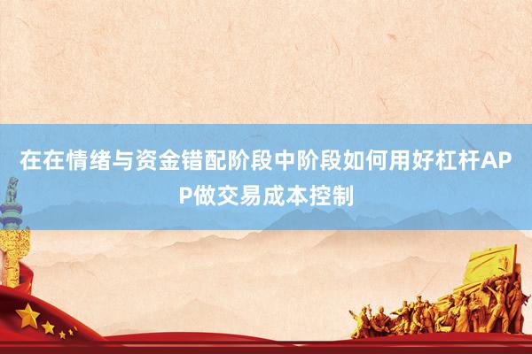在在情绪与资金错配阶段中阶段如何用好杠杆APP做交易成本控制