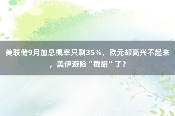 美联储9月加息概率只剩35%，欧元却高兴不起来，美伊避险“截胡”了？