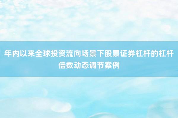 年内以来全球投资流向场景下股票证券杠杆的杠杆倍数动态调节案例