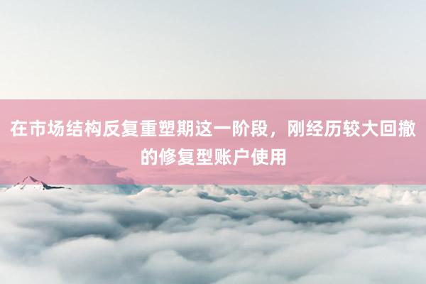 在市场结构反复重塑期这一阶段，刚经历较大回撤的修复型账户使用