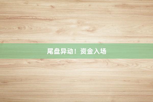 尾盘异动！资金入场
