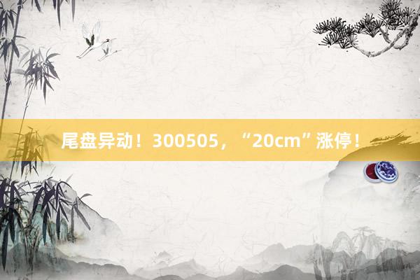 尾盘异动！300505，“20cm”涨停！