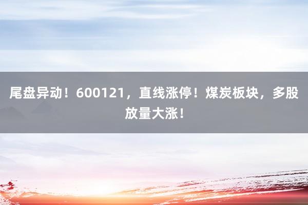 尾盘异动！600121，直线涨停！煤炭板块，多股放量大涨！