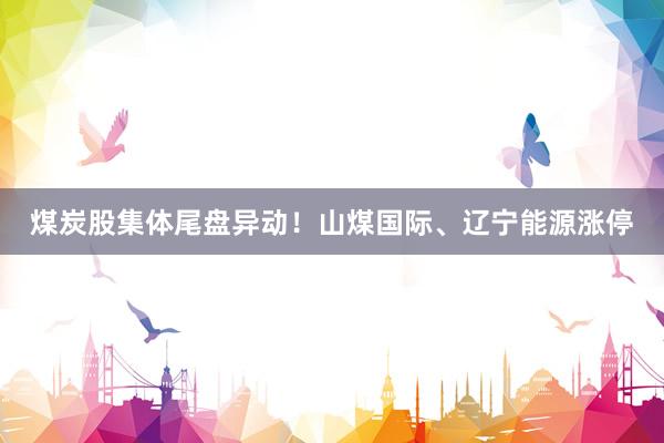 煤炭股集体尾盘异动！山煤国际、辽宁能源涨停