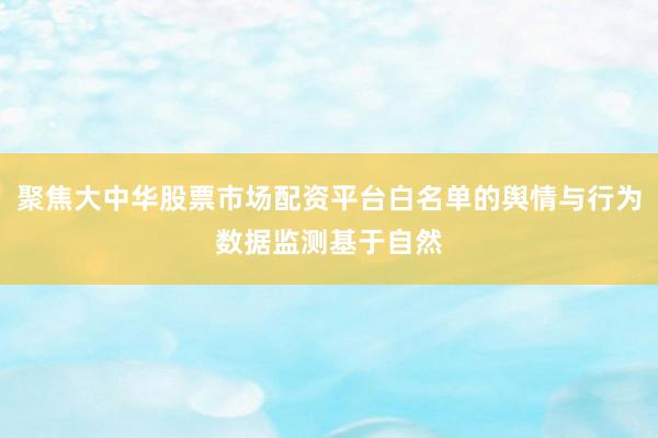 聚焦大中华股票市场配资平台白名单的舆情与行为数据监测基于自然