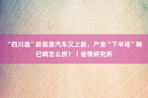 “四川造”新能源汽车又上新，产业“下半场”哨已响怎么拼？丨省情研究所