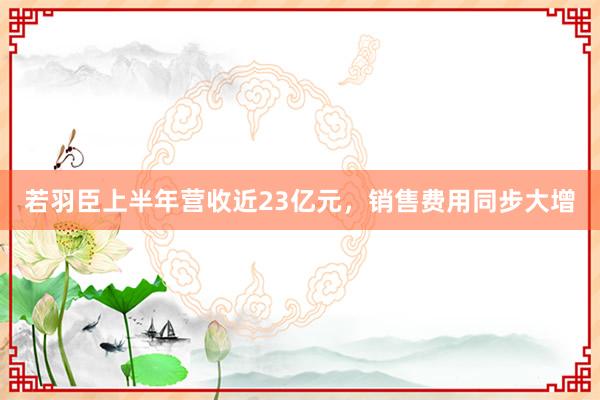 若羽臣上半年营收近23亿元，销售费用同步大增