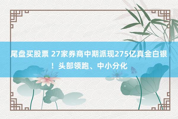 尾盘买股票 27家券商中期派现275亿真金白银！头部领跑、中小分化