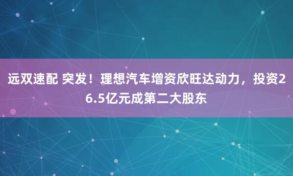 远双速配 突发！理想汽车增资欣旺达动力，投资26.5亿元成第二大股东