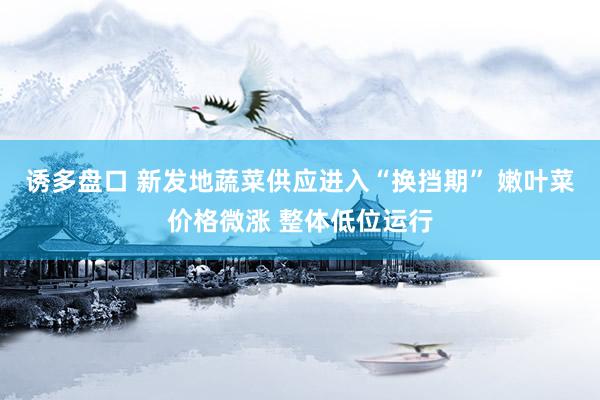 诱多盘口 新发地蔬菜供应进入“换挡期” 嫩叶菜价格微涨 整体低位运行